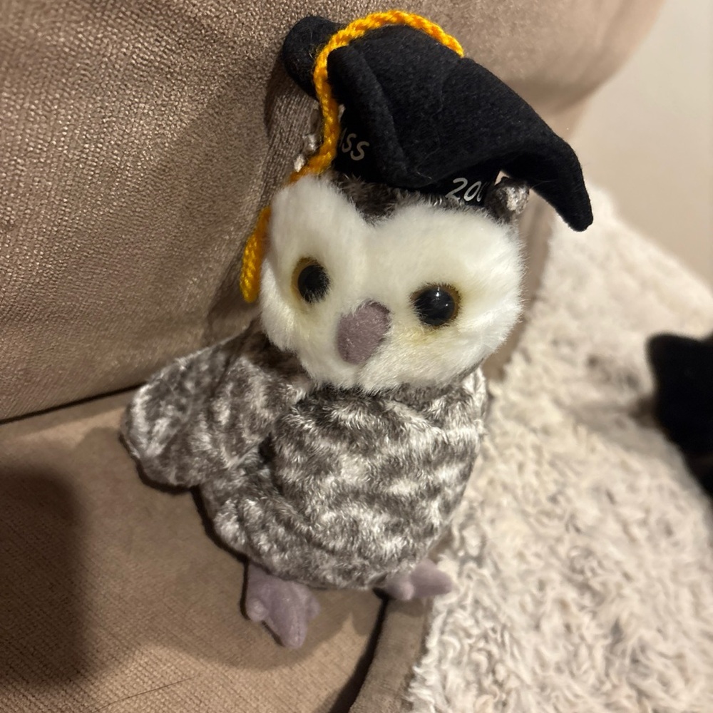 Ty Beanie Baby Wise Owl Plush‎ Kids OS Gray New Class of 2001 Graduation Cap
